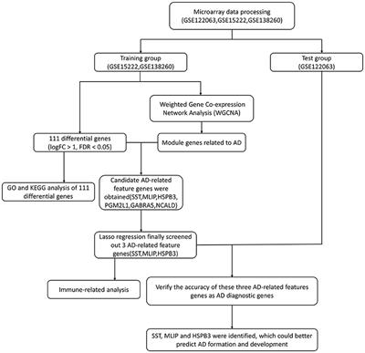 Identification of feature genes and pathways for Alzheimer's disease via WGCNA and LASSO regression